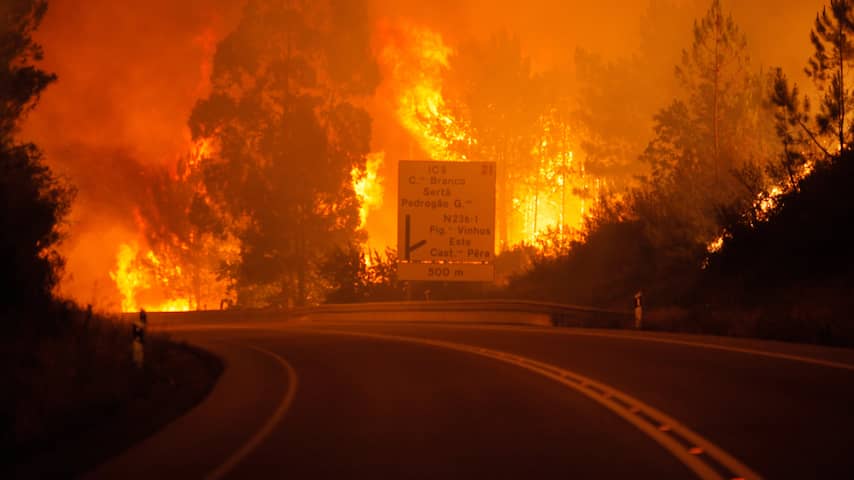 Tientallen Doden Bij Grote Bosbrand In Portugal Buitenland Nu Nl