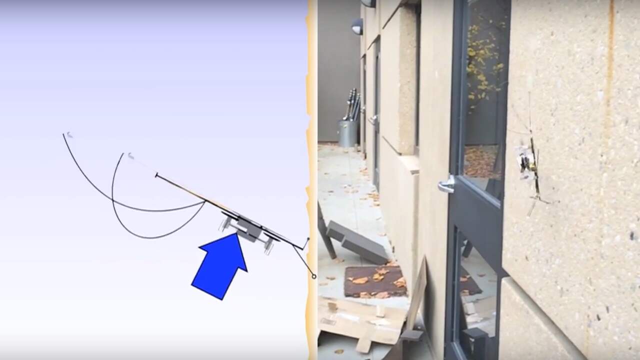 Robot vliegt, kruipt en klimt als een insect