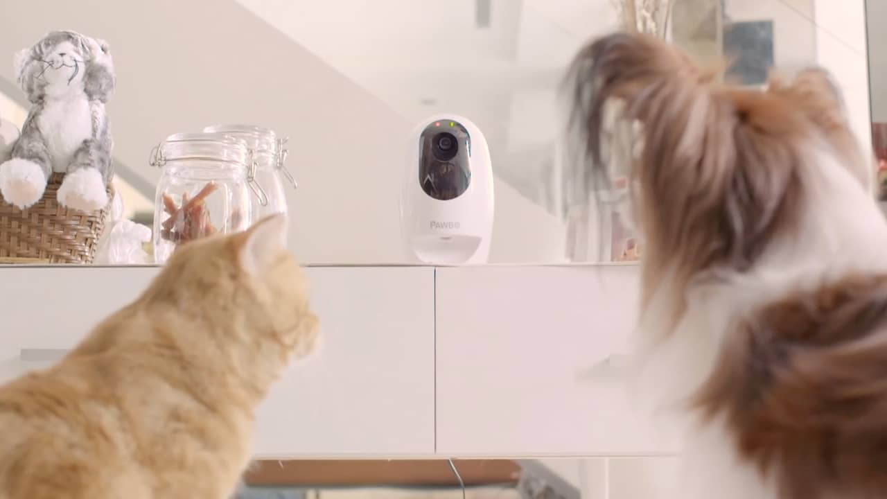 Pawbo+ laat eigenaren op afstand met huisdier spelen