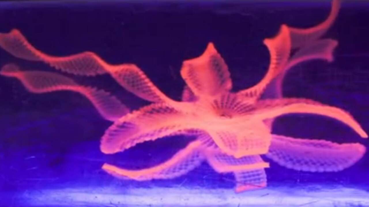 4D-geprinte bloem verandert van vorm