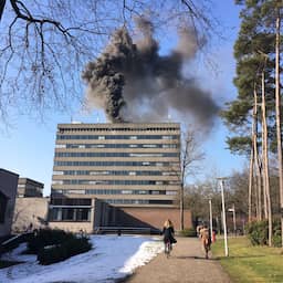 prostituees nijmegen