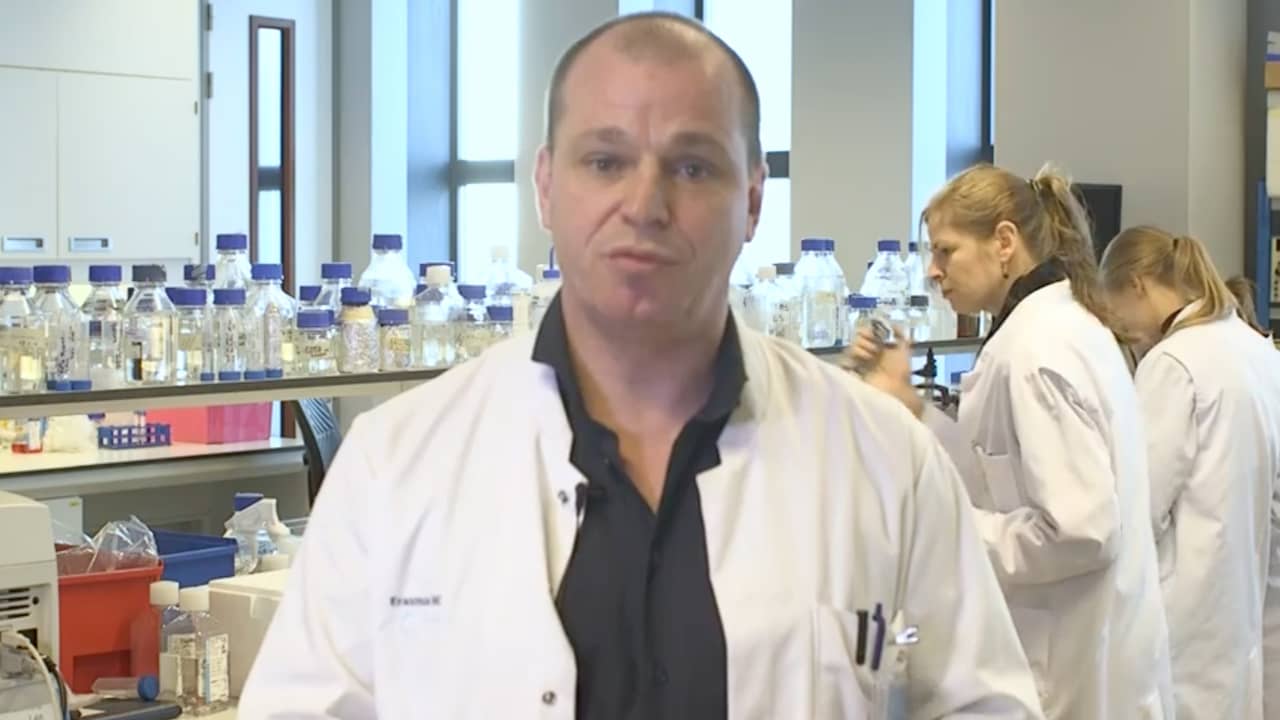 Onderzoekers Erasmus MC ontdekken nieuw stofje in darmen
