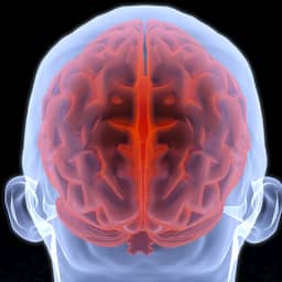 Ontsteking in brein wellicht oorzaak chronische vermoeidheid