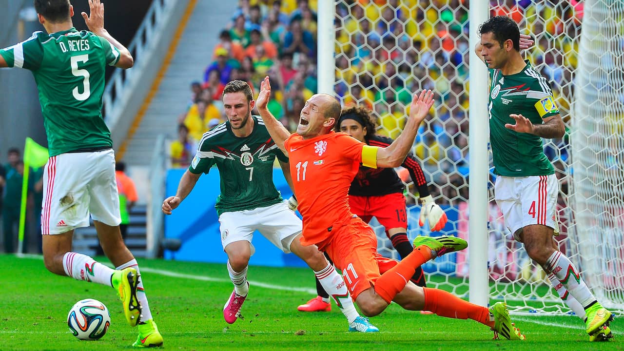 Robben Schwalbe Robben Schwalbe