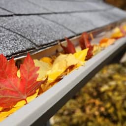 8 tips voor de herfst