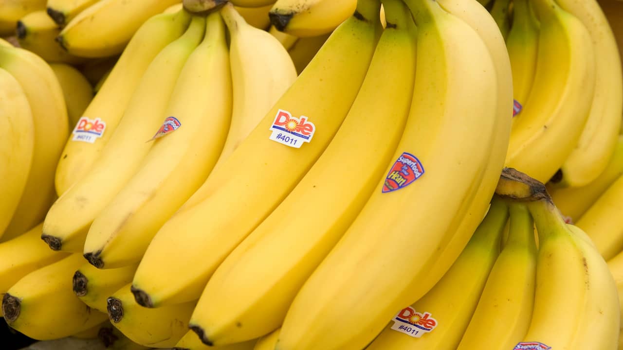ziekte-bedreigt-wereldvoorraad-bananen.jpg