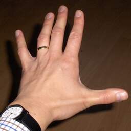 Nederlandse wetenschappers onderzoeken linkshandigheid