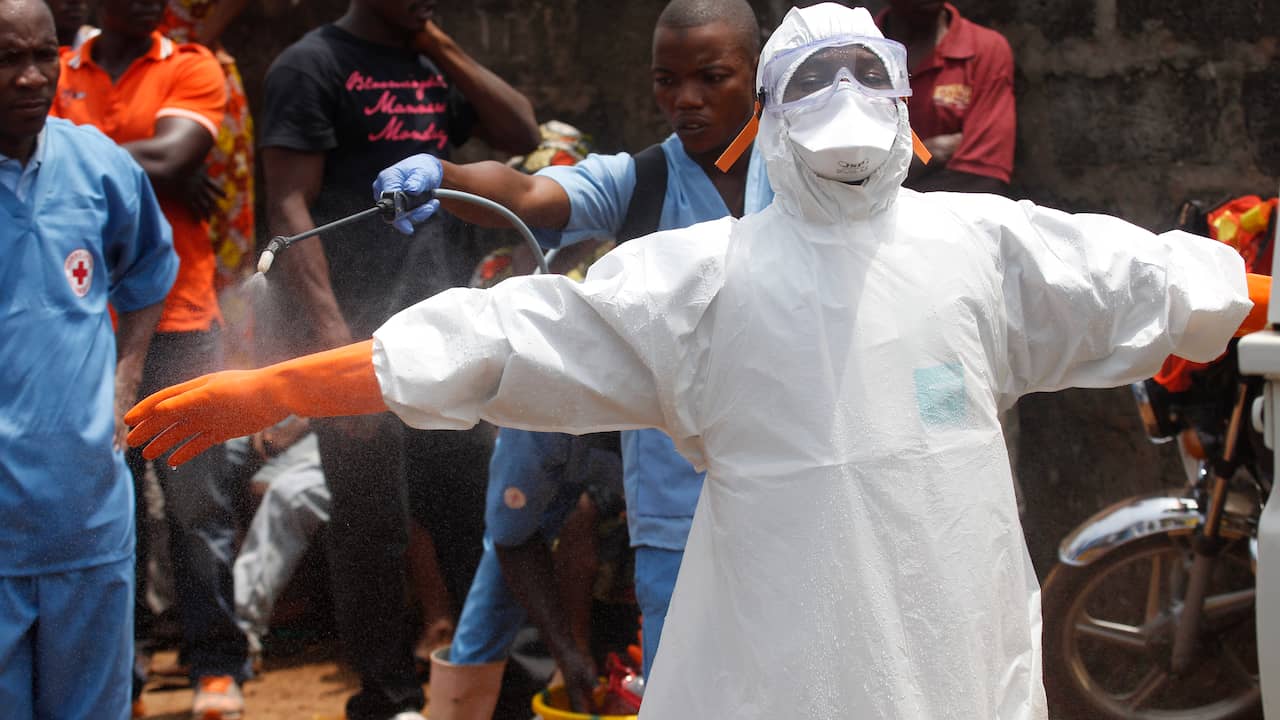 Hoe ebola het lichaam aanvalt