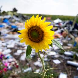 Straks live: Onthulling monument voor slachtoffers MH17