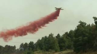 Europese brandweer helpt Israël bij bestrijden bosbranden