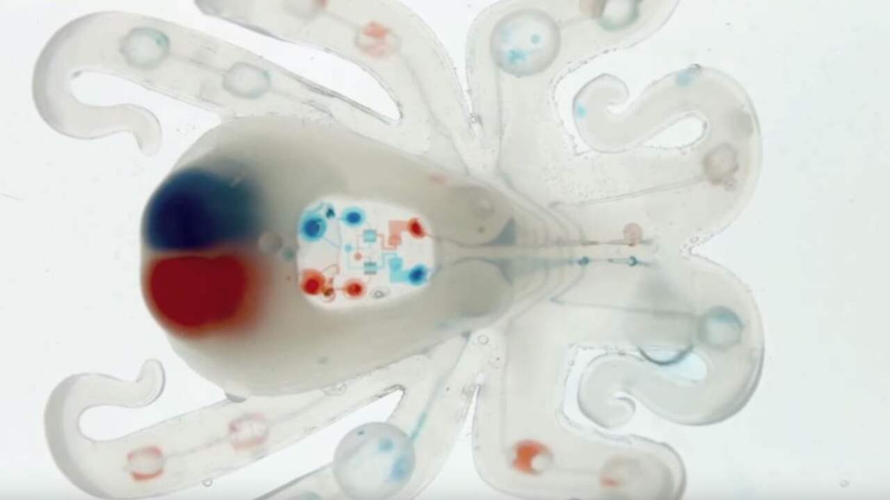 Zachte 'octobot' beweegt zonder batterij