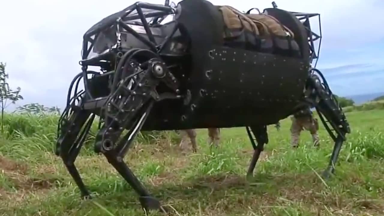 Beelden van de robotezel