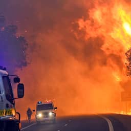 Australië gebruikt tablets om bosbranden te voorspellen