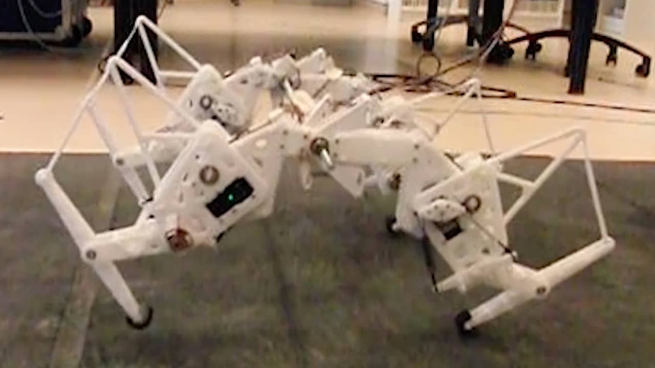 Robot-cheeta beweegt net als echt jachtluipaard