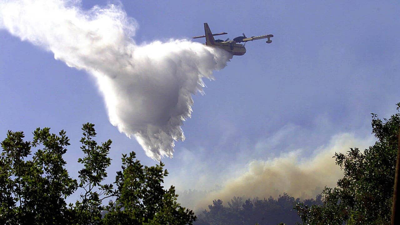 14 Dead in Devastating Forest Fires in Kazakhstan, as 60,000 Hectares of Wildfires Ravage Country