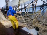 Europese Commissie: Nederland mocht vergunningen pulsvisserij niet geven