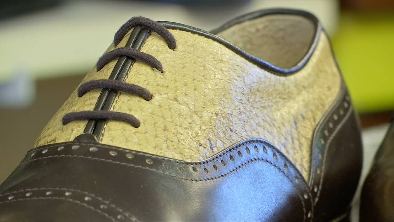 Beeld uit video: Duits bedrijf maakt schoenen van vissenleer