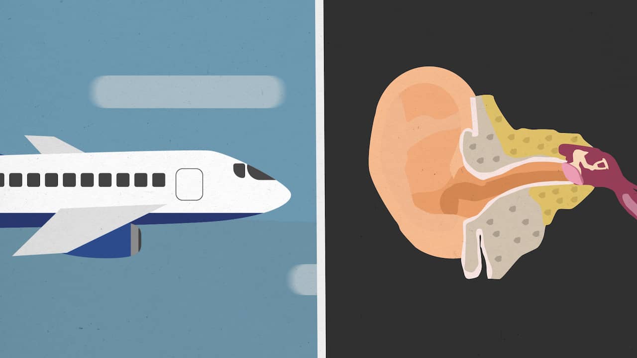 Beeld uit video: Wat gebeurt er met je oren tijdens een vlucht?