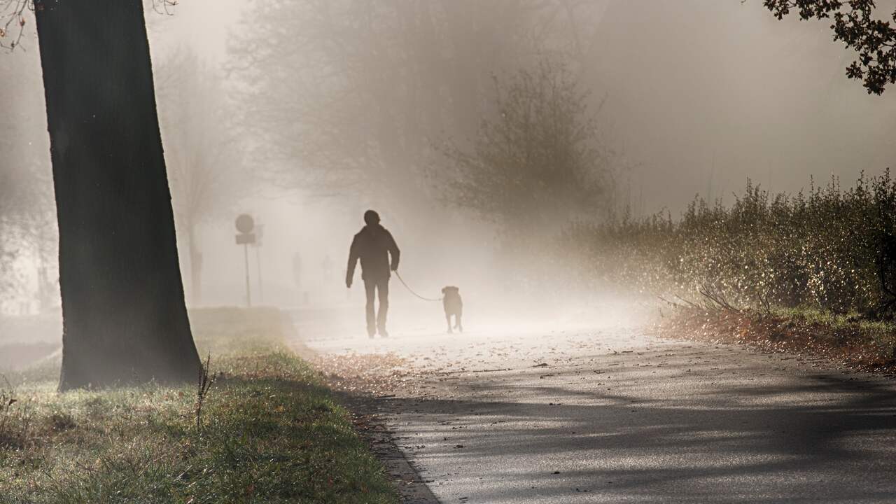 Het weerbericht van zondag