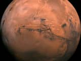 Goed nieuws: Mars goed zichtbaar | SOS Dolfijn bouwt ziekenhuis