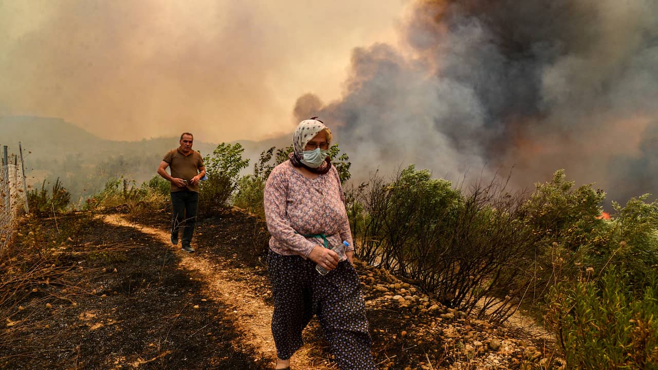 Fatal wildfires in southern Turkey killed and injured ...