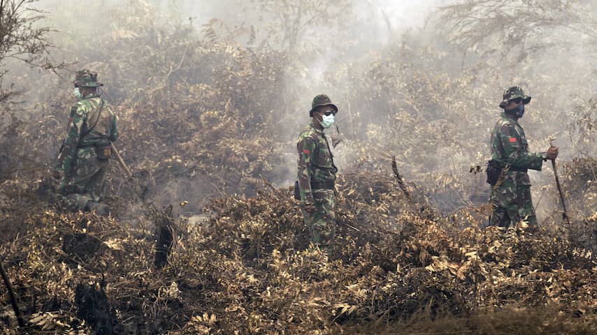 Bosbranden in Indonesië 