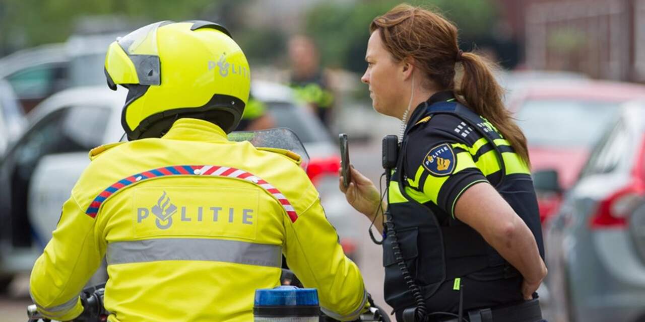 Politie zoekt eigenaar palmboom