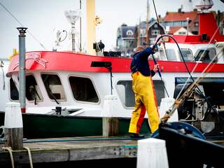 Europese stemming tegen pulsvisserij 'dramatische uitkomst'