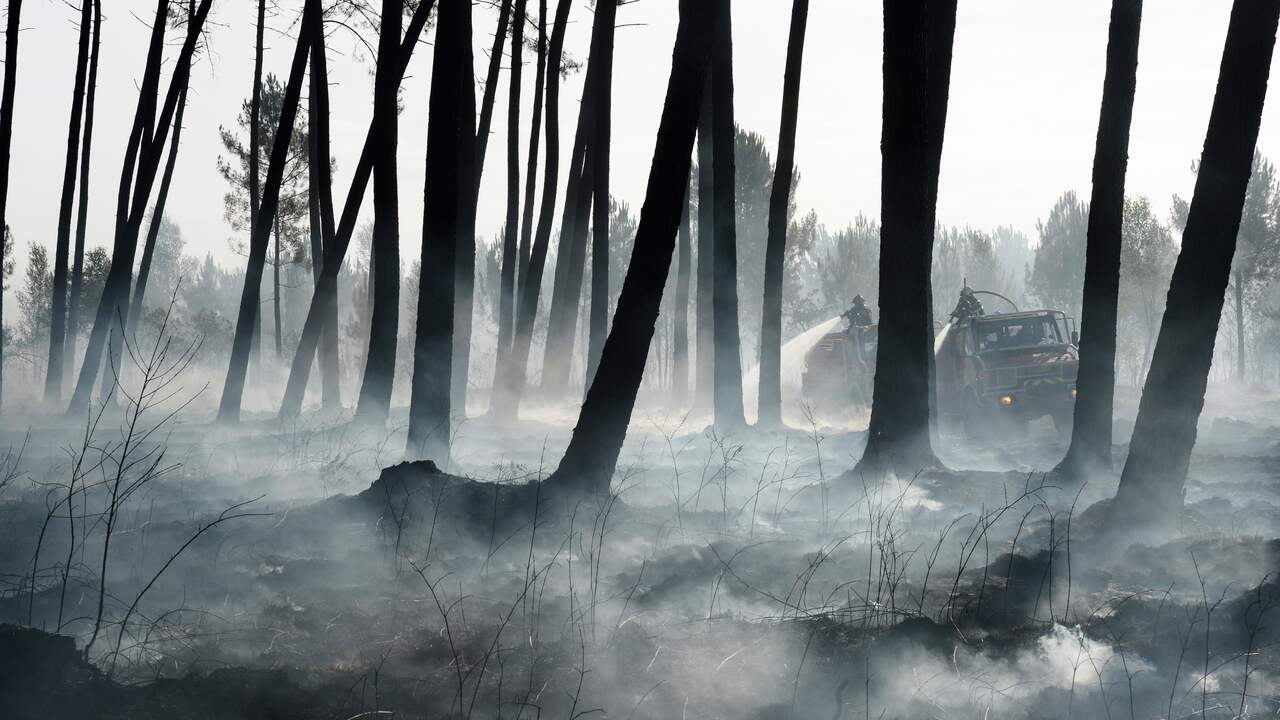 Campings ontruimd na bosbranden in Zuid-Frankrijk | NU ...