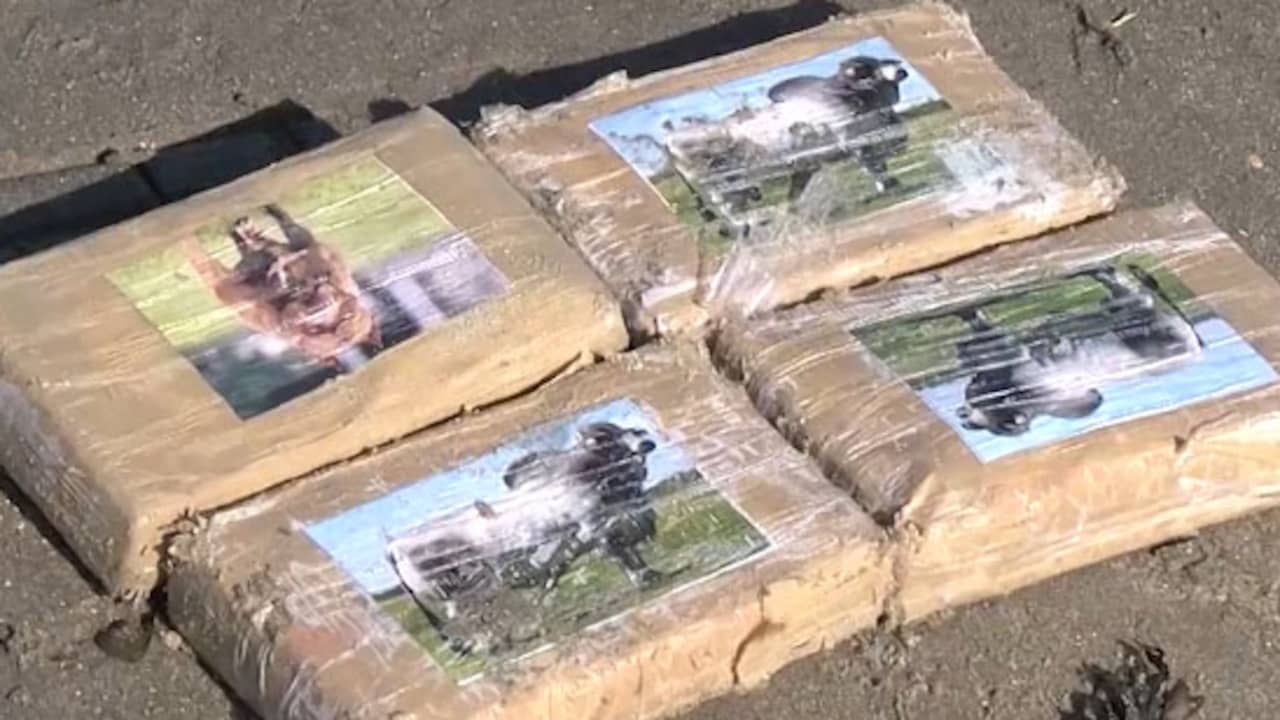 Beeld uit video: Politie neemt aangespoelde pakketjes met vermoedelijk cocaïne in beslag