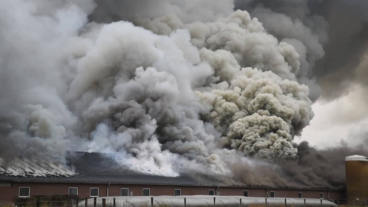 Beeld uit video: Grote rookwolken door stalbranden in Noord-Brabant