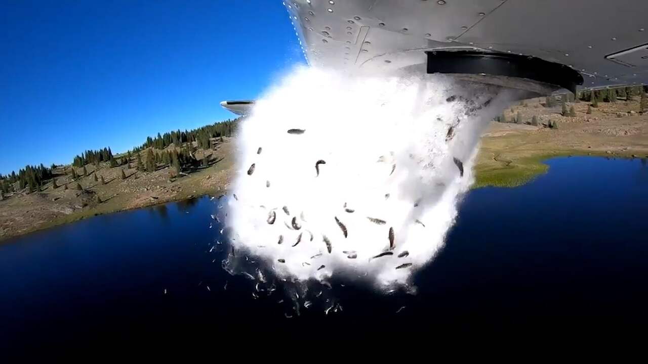 Beeld uit video: Vliegtuig dumpt vissen van hoogte in meer in Utah