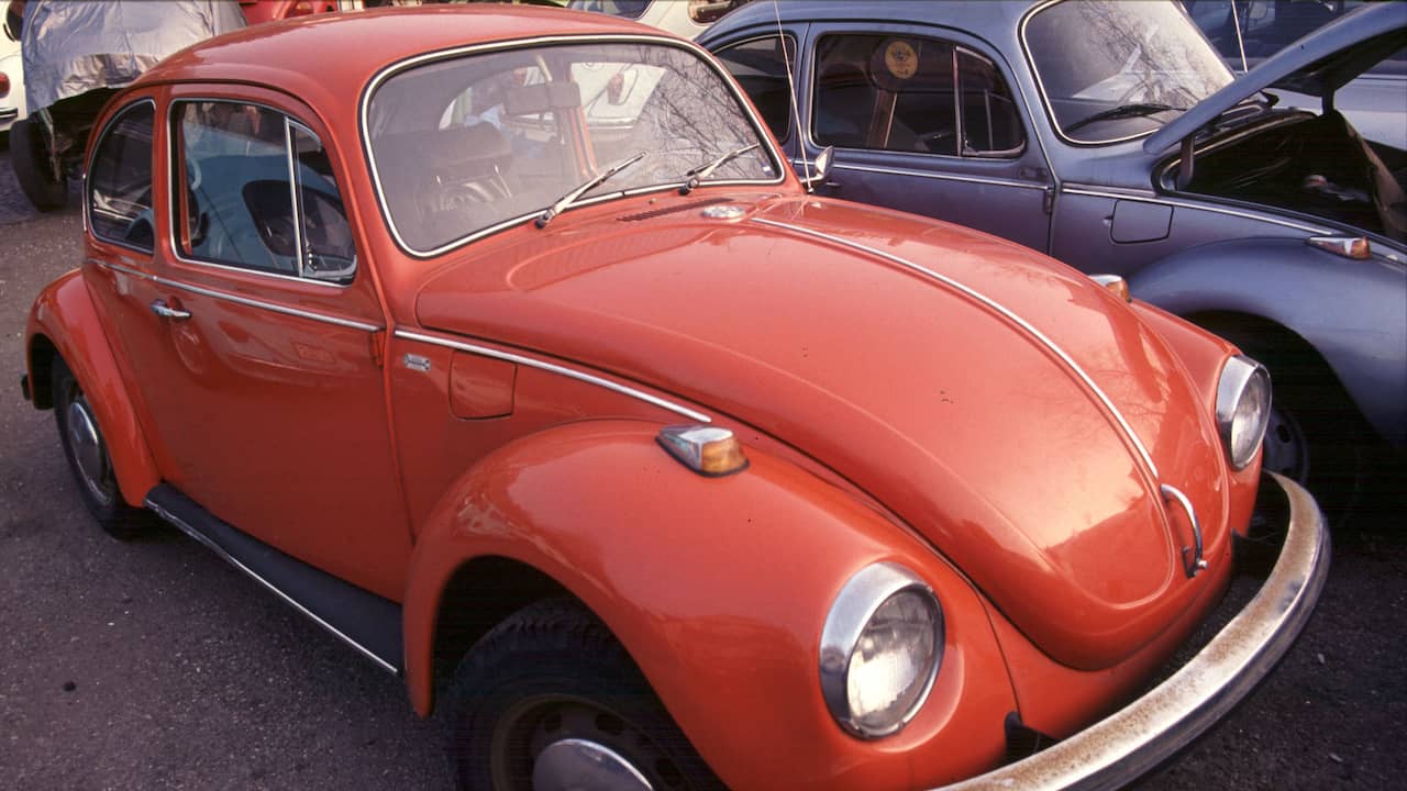 Volkswagen beetle in mexico