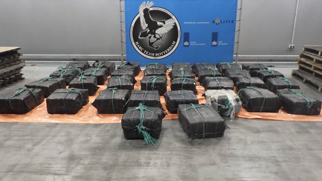 4726 kilos of cocaine intercepted during checks in the port of Rotterdam |  Interior