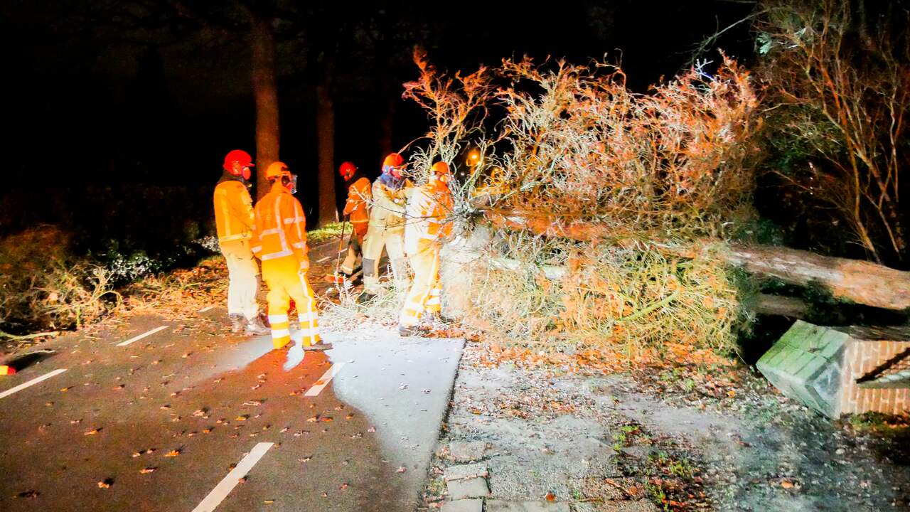 De brandweer in Mierlo moest zondagochtend vroeg een omgewaaide boom aan de Goorsedijk verwijderen.