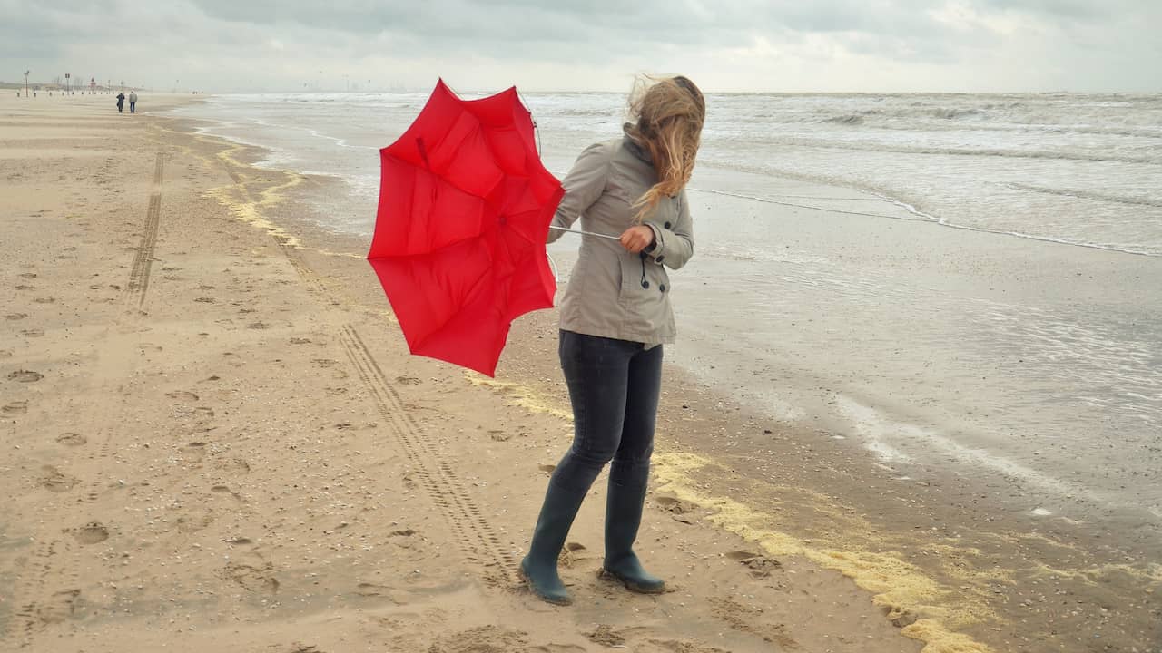 Code Geel In Westen Van Het Land, Vluchten Van En Naar Schiphol ...