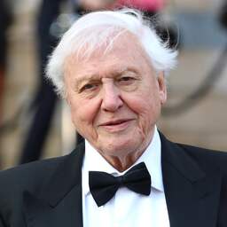 David Attenborough breekt Instagram-record: het snelst een miljoen volgers