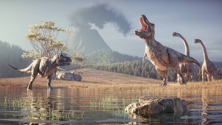 Dinosaurussen werden dominante soort op aarde omdat ze snel groeiden