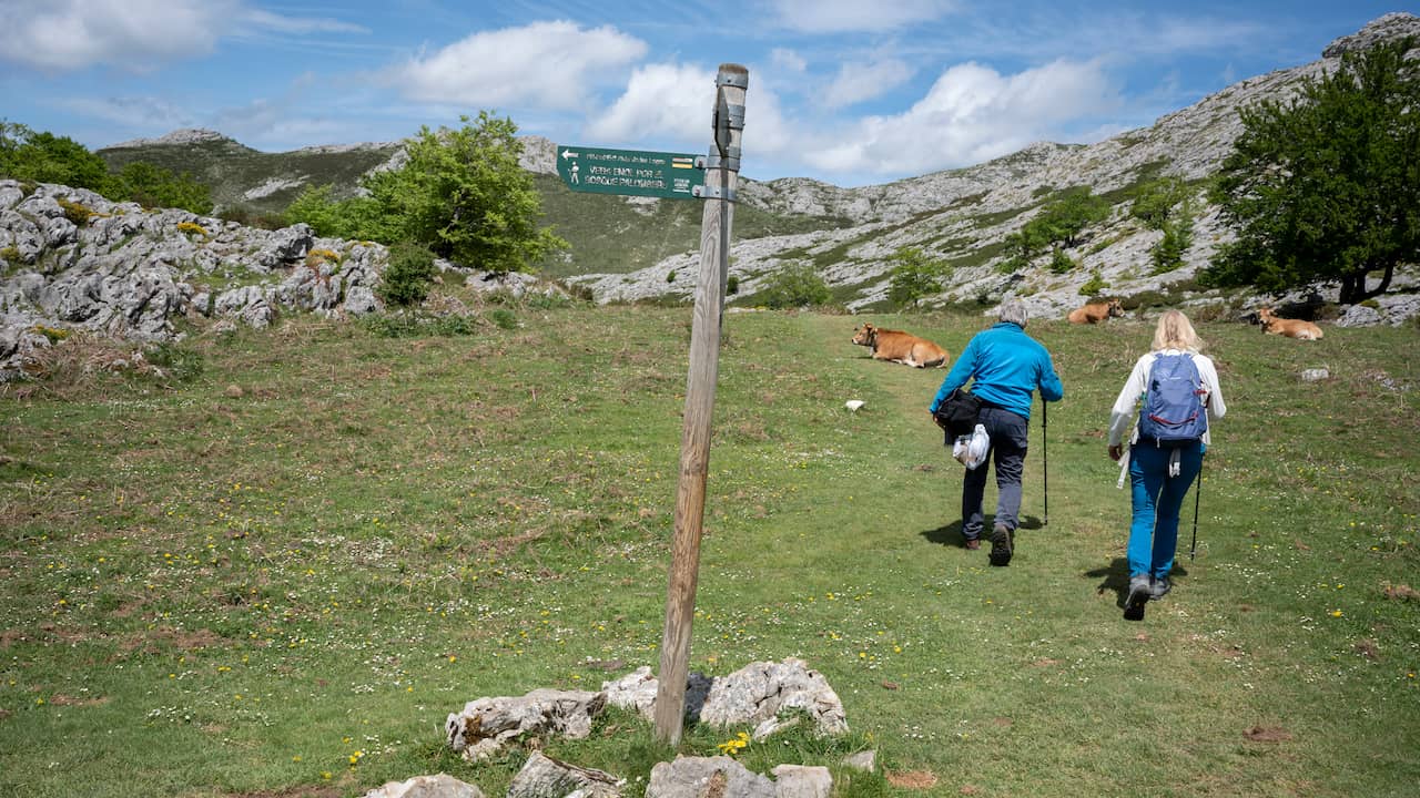 Fjellsportforbund ser flere ulykker fra uerfarne turgåere |  NÅ