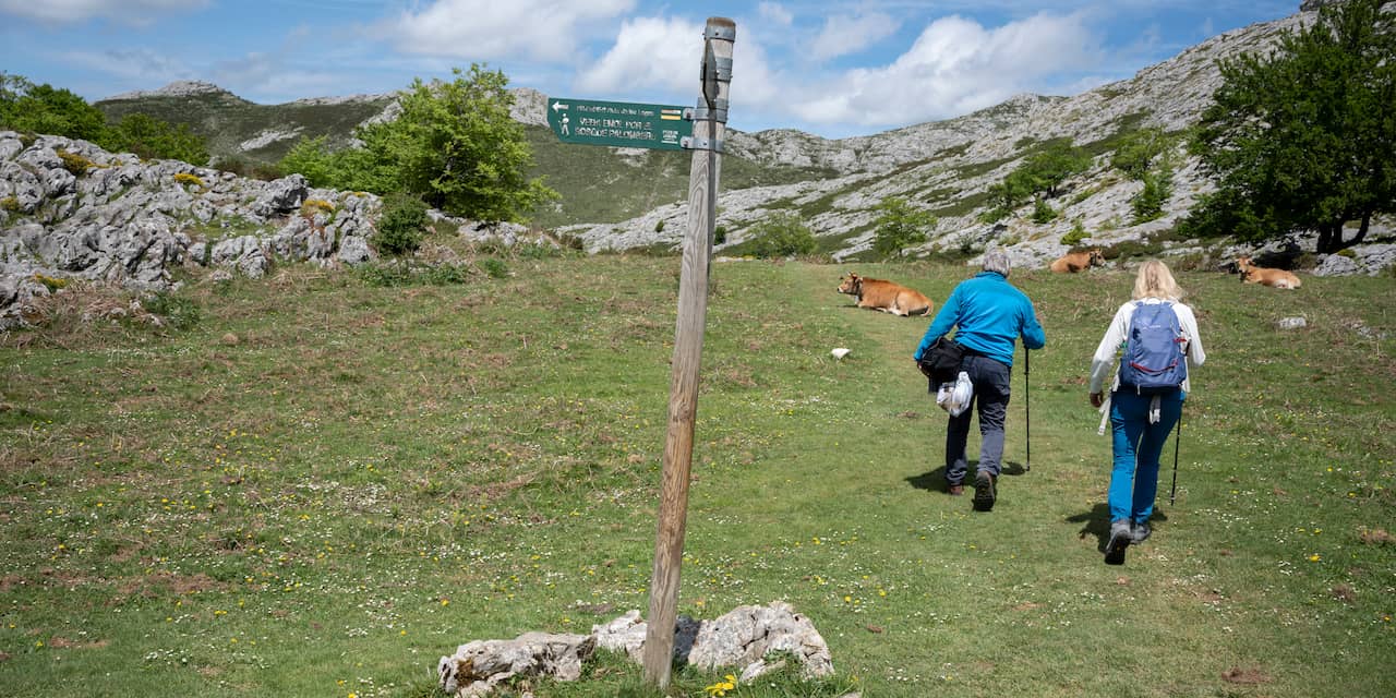 Bergsportvereniging ziet meer ongelukken door onervaren wandelaars