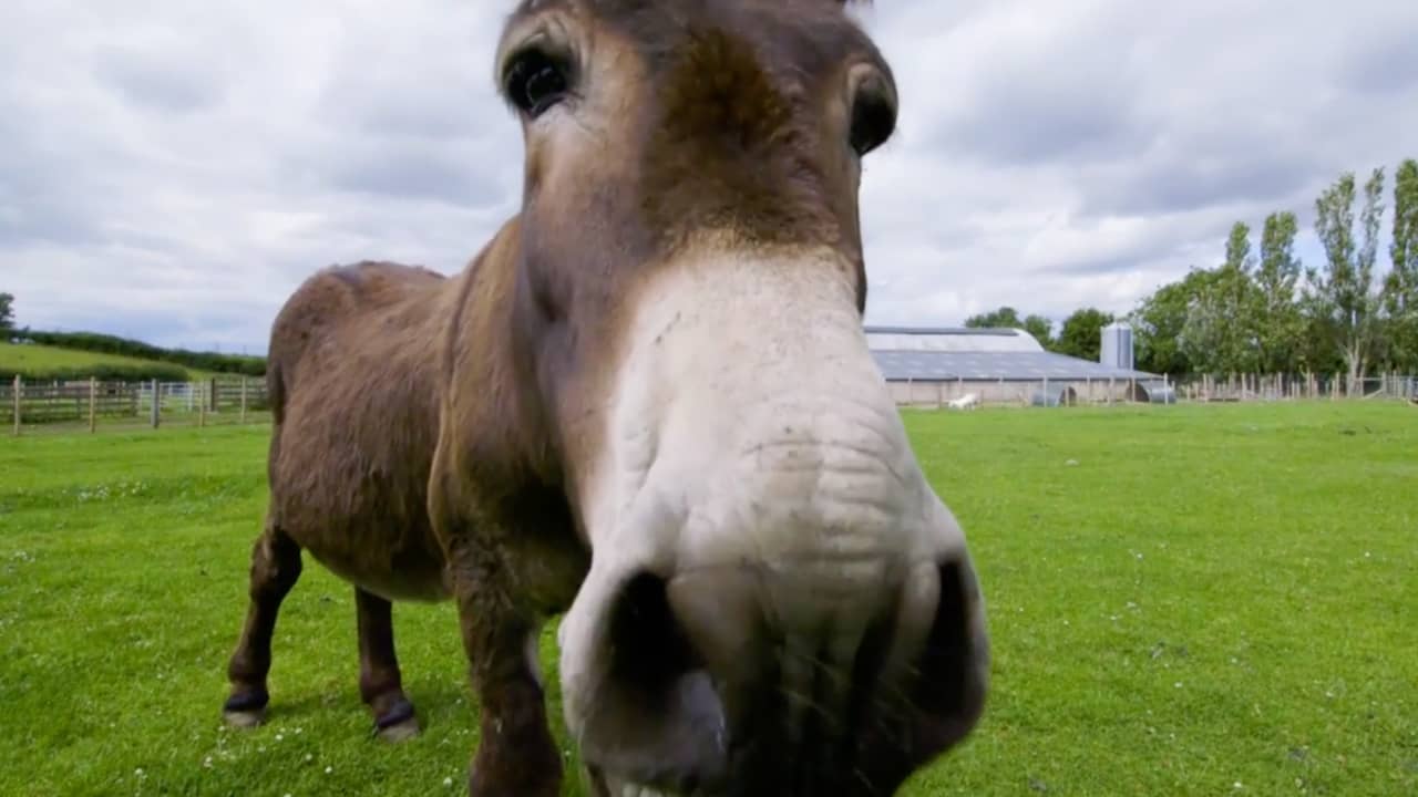 Hoe Game of Thrones een boer uit Noord-Ierland er bovenop hielp