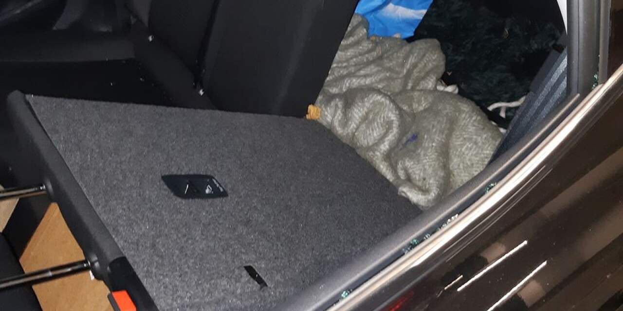 Politie bevrijdt hond uit afgesloten kofferbak in Haarlemse garage