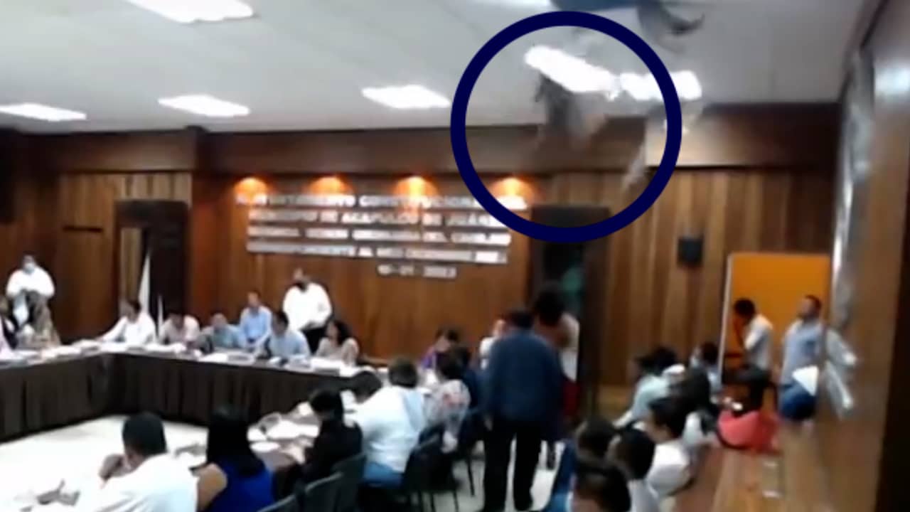 Beeld uit video: Wasbeer valt door plafond en zet gemeenteraad op stelten in Mexico
