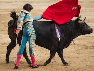 Stierenvechten is vanaf 2028 in Colombia verboden