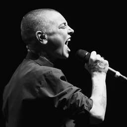 Sinéad O’Connor was geen ‘normale popster’ en wilde dat ook nooit zijn