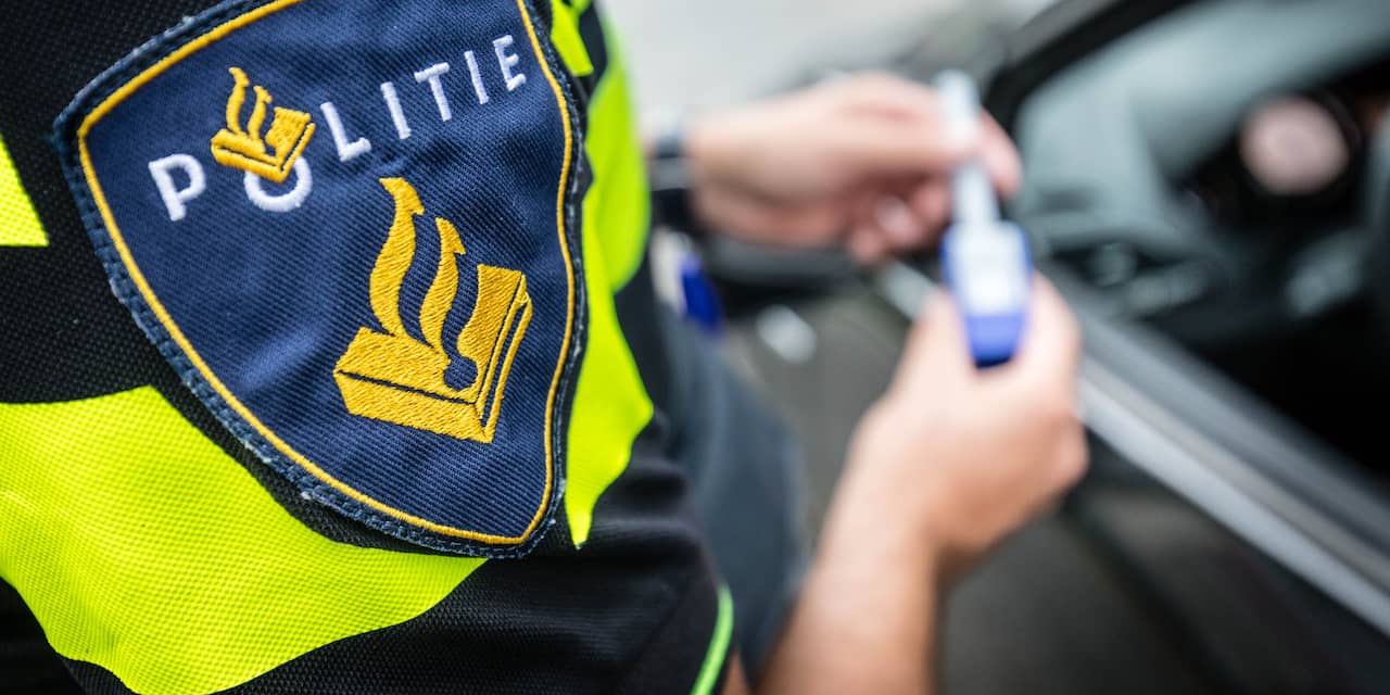 Arrestatie na vernielingen door grote groep in trein Castricum