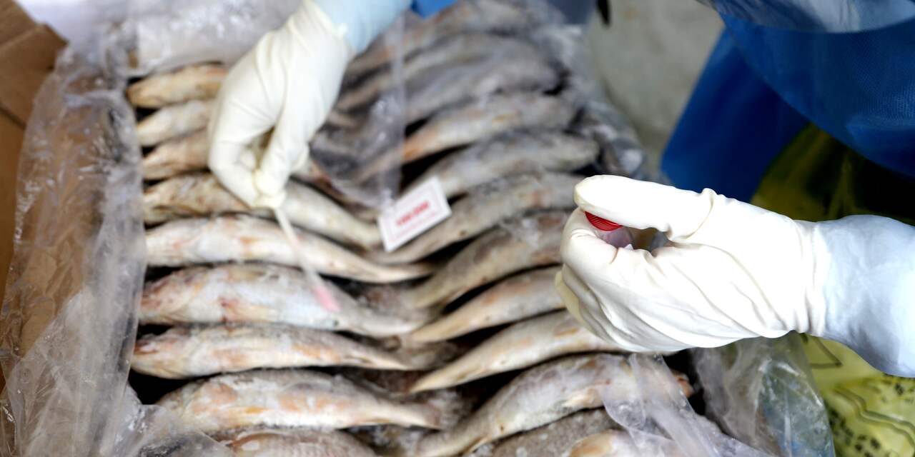 China test zelfs vissen op corona om het virus buiten de deur te houden