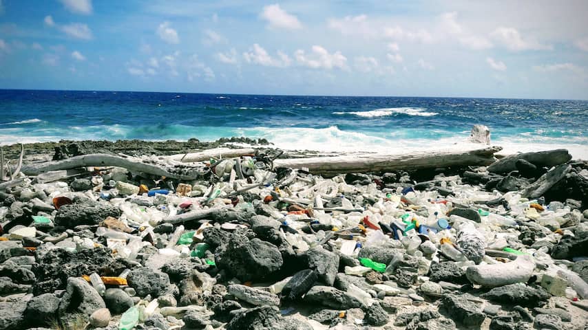 Kustlijn Bonaire tien keer zo vervuild met plastic als Noordzeestranden