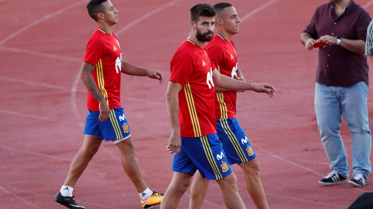 Pique Training