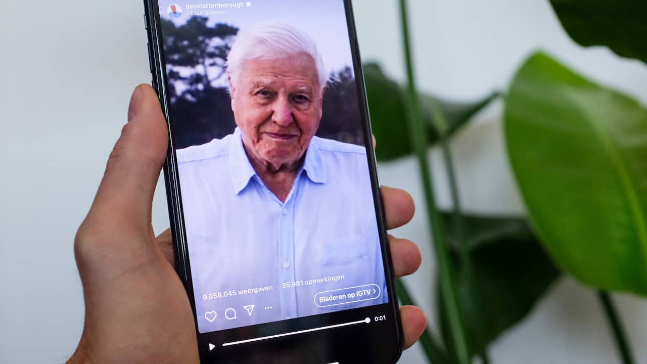 Good news: Attenborough breaks Instagram record |  Rat gets medal |  NOW